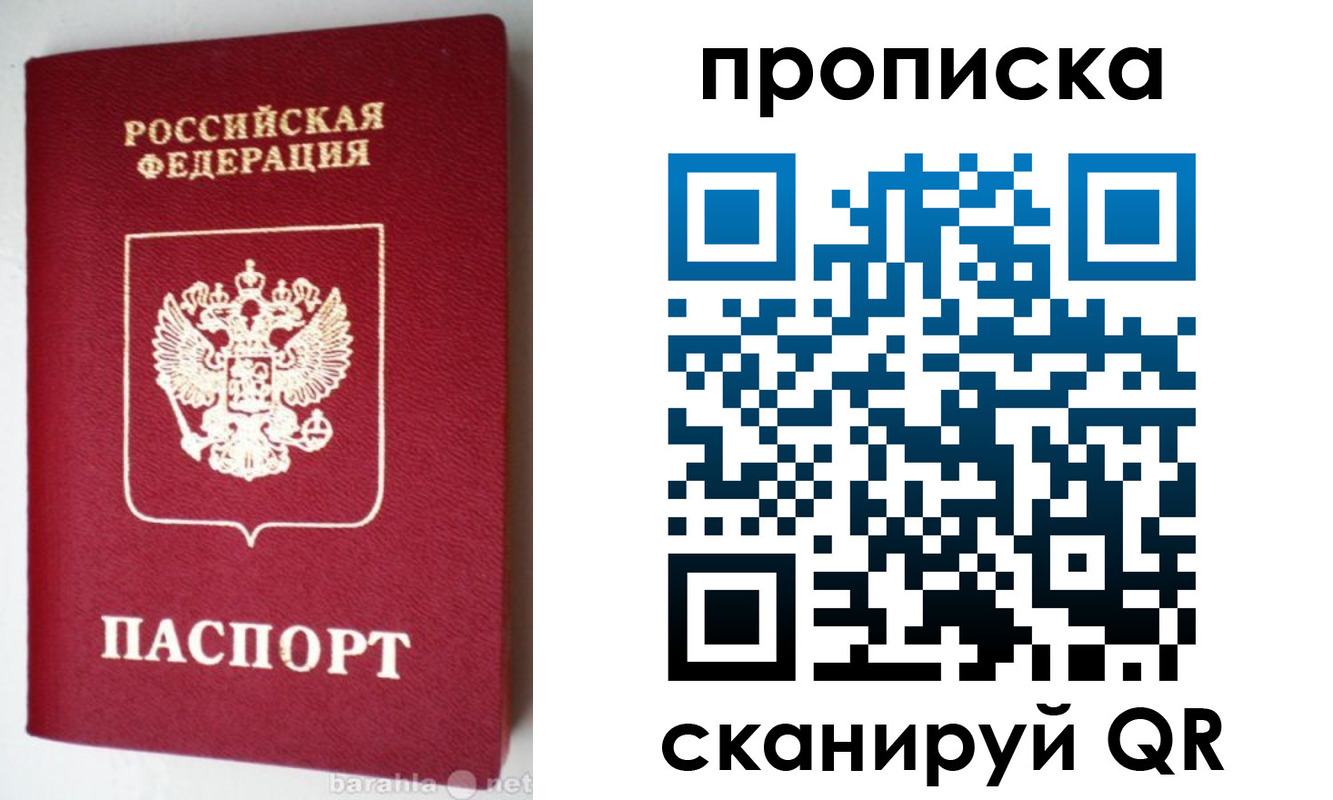 прописка поиск в Невеле